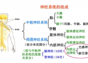 失眠、抑郁、焦虑分析，用药