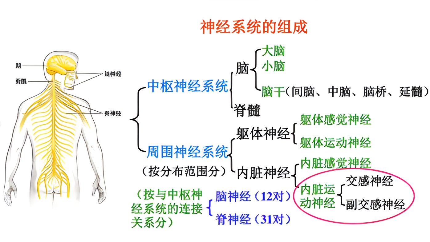 微信截图_20240301174159.png